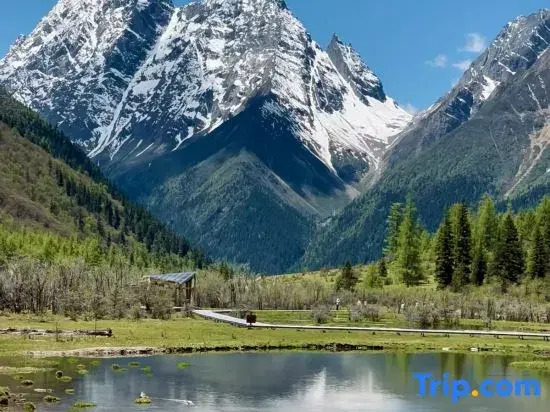 Siguniang Mountain Nation Park Hotel（The most popular and convenient hotel for overseas guests）