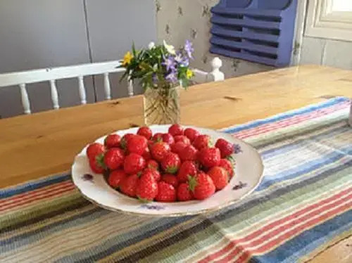 Ferienhaus Näs
