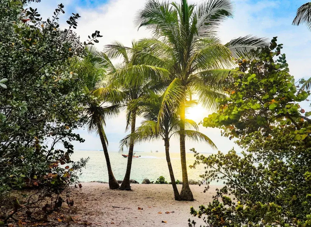 Wonderful South Beach Condo For 8 People