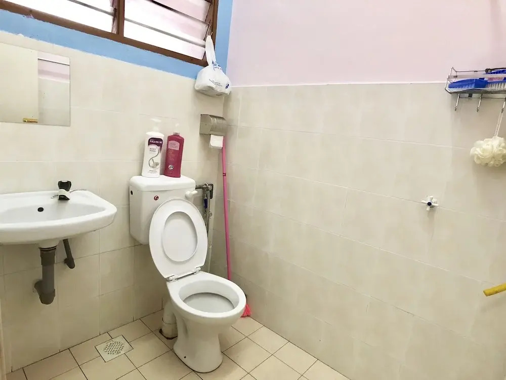 Kampar Sakura 2