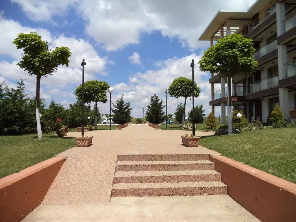 JULY MORNING SEAside HOTEL