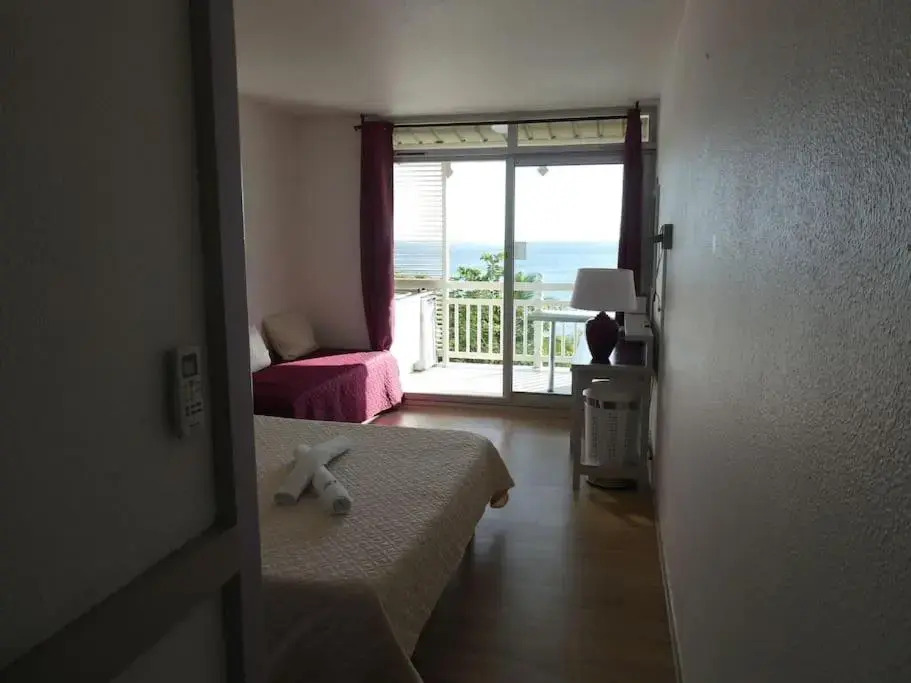 Appartement terrasse vue mer et piscine
