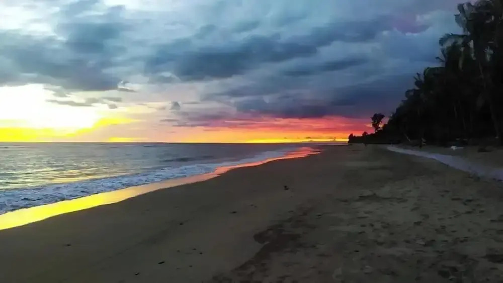 Kingshuk Beach Resort