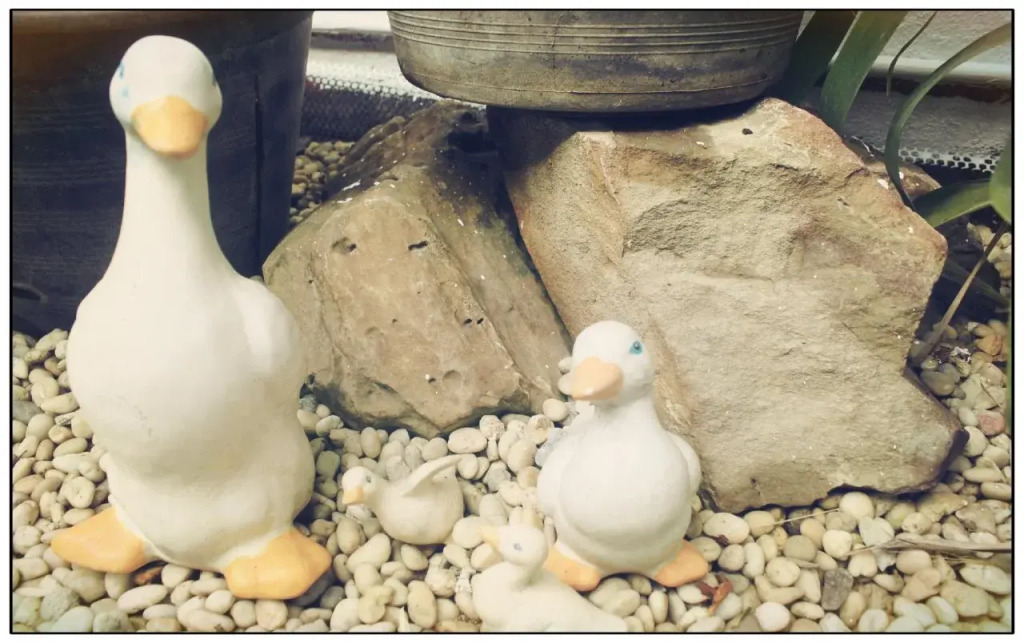 Natlen Boutique Guesthouse
