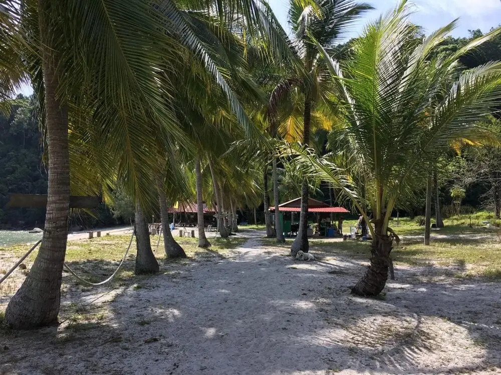 Wild Pasir Panjang