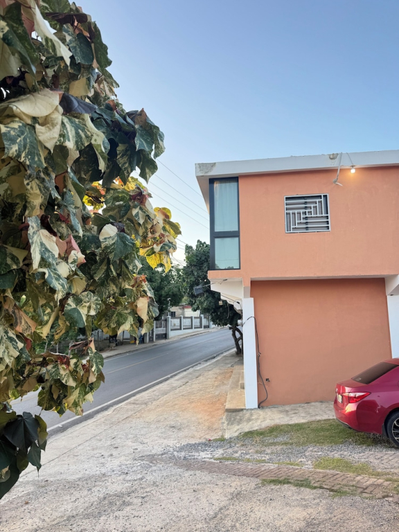 Nashaly suite