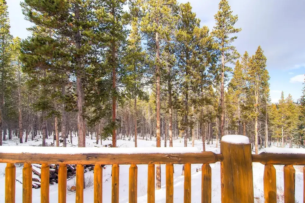Snowshoe Lodge by RedAwning
