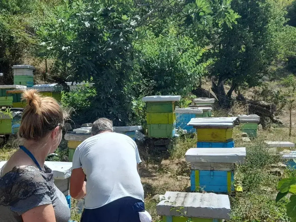 Honey-House Kastrioti Adventures