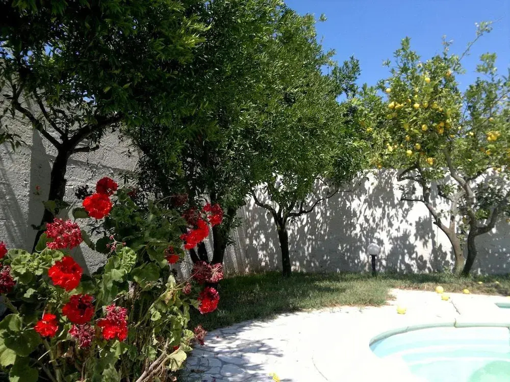 B&B Villa Romina