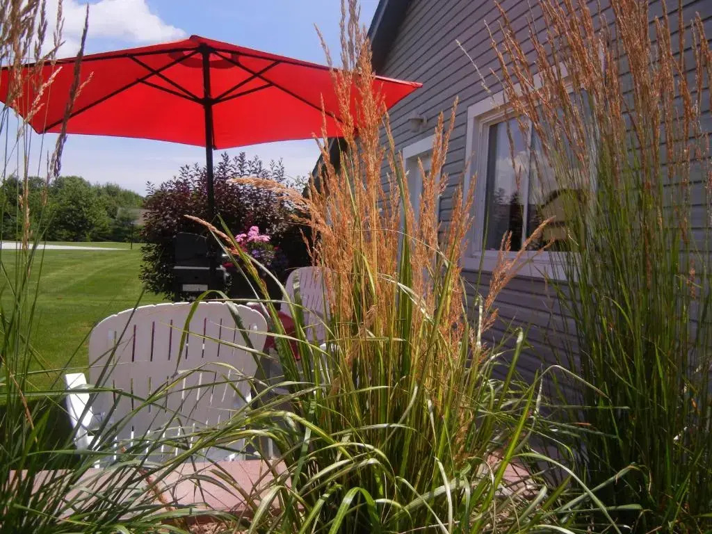 Duck Pond Bed & Breakfast Cottage