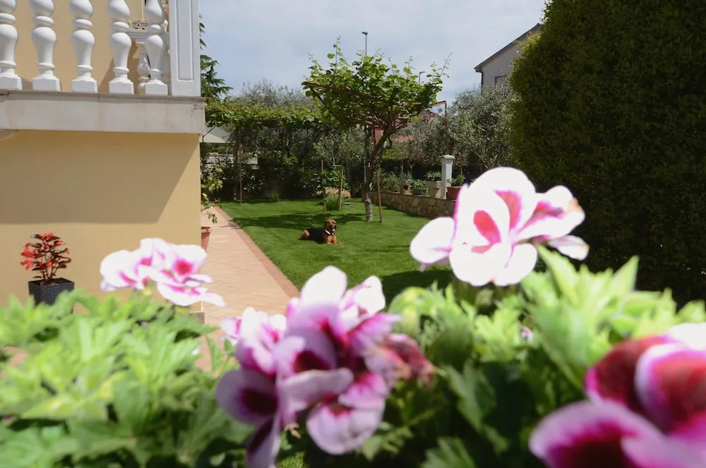 Apartment Pierina