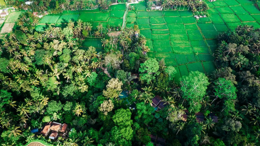 Pramana Giri Kusuma