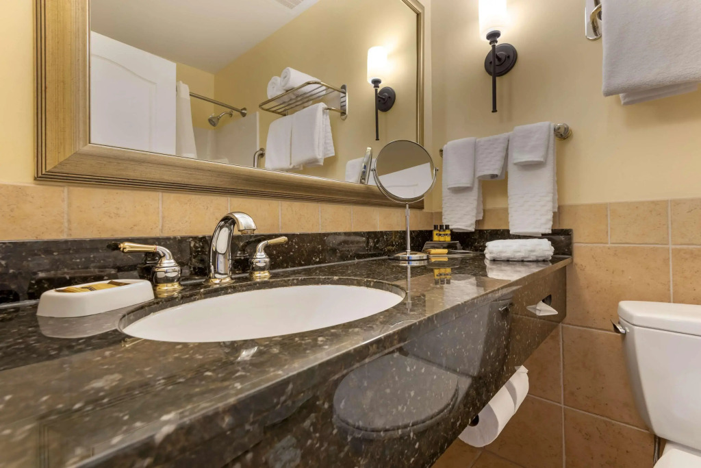 Best Western PLUS Vineyard Inn and Suites