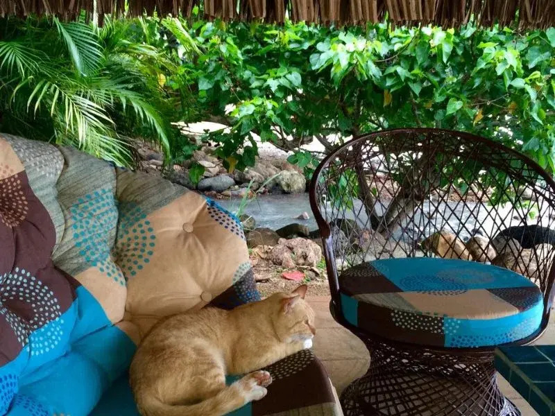 Fare Tokoau Moorea