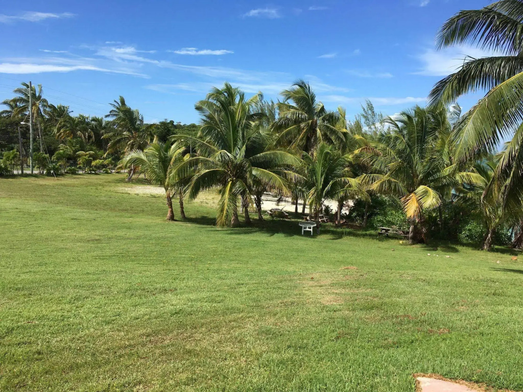 Butterfly Haven by Living Easy Abaco