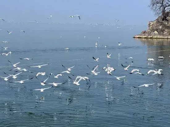 Early Spring Hotels in Dali City