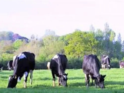 Canonsgrove Farm