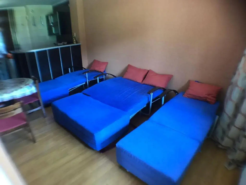 Bakuriani Hills Apartment