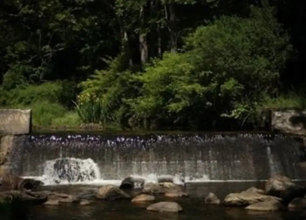 Brook Falls Farm