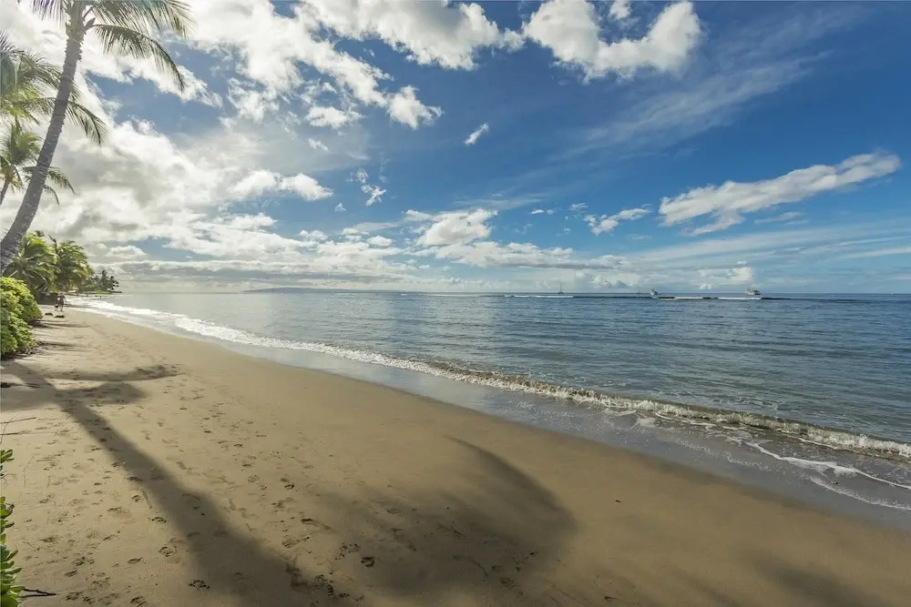 Lahaina Shores #218 Condo