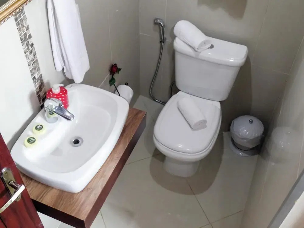 Pousada Suiça Mineira Centro