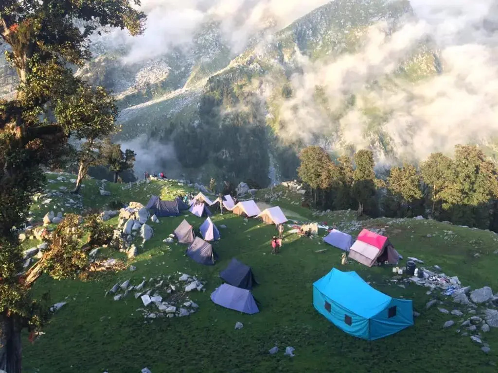 Triund Terrestrial Adventure