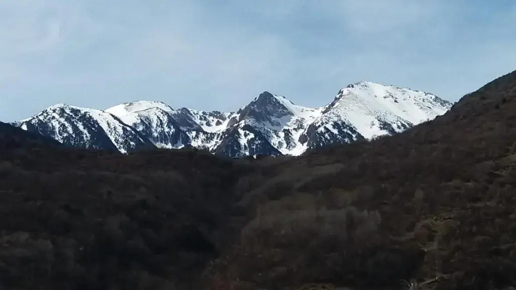 Apartaments Morello