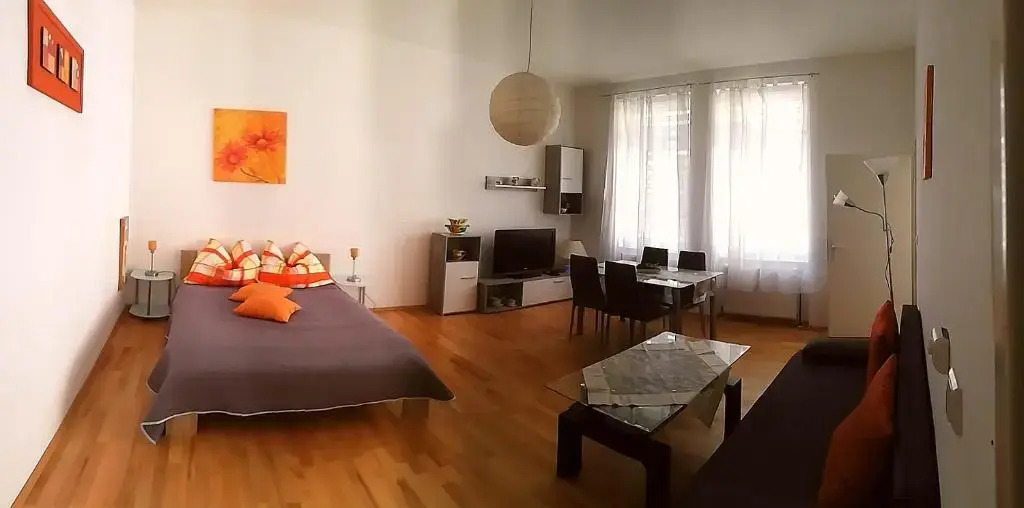 Apartment Veronika 29