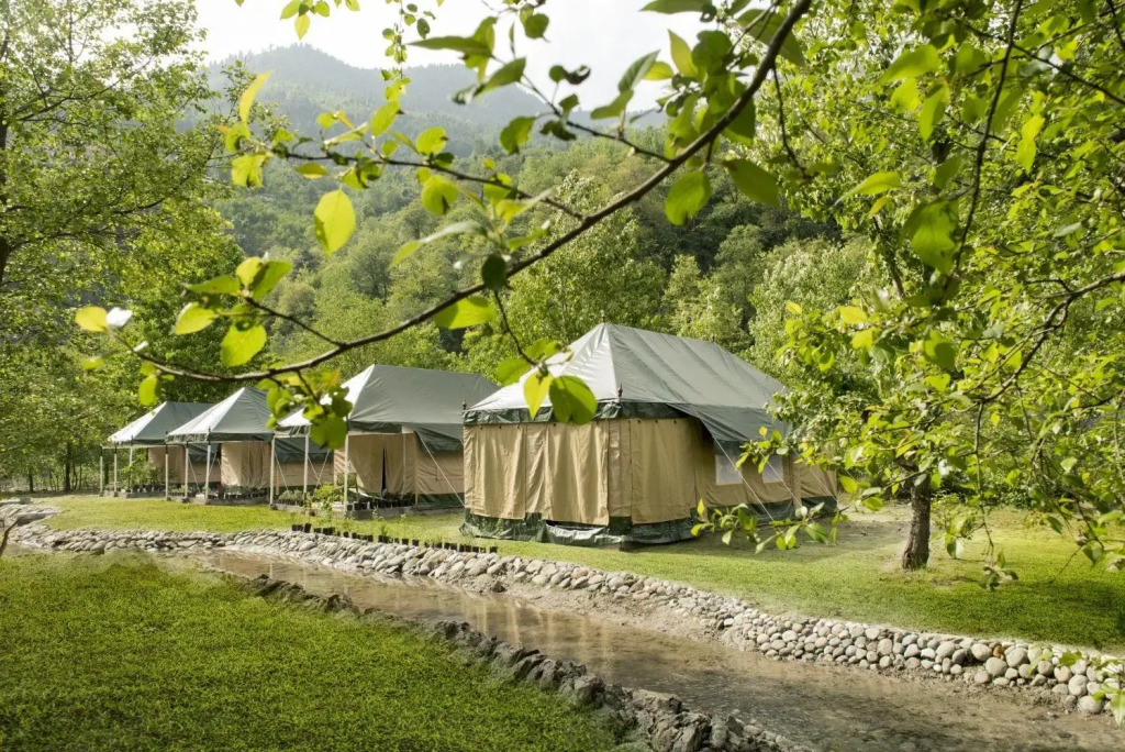 Tall Trees Resort
