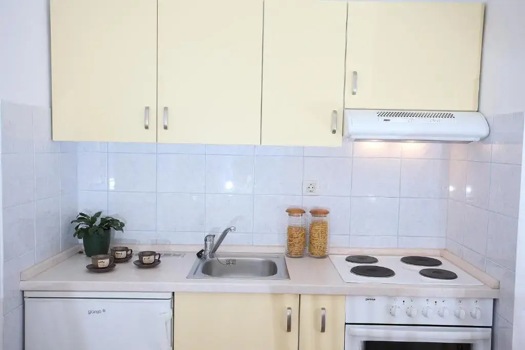 Apartment Mileta
