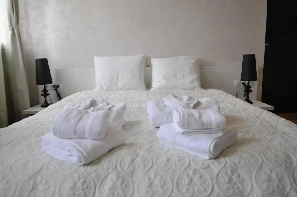Luxury Apartment