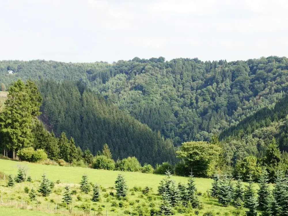 Detox at Countryside Hideout near Town of Spa