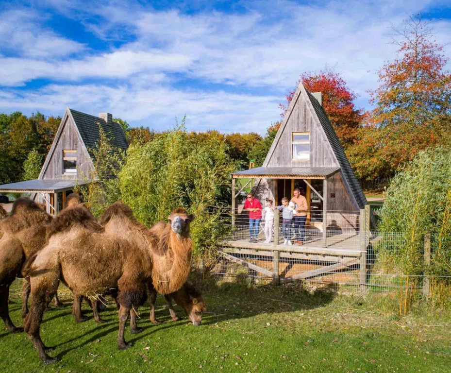 Cerza Safari Lodges