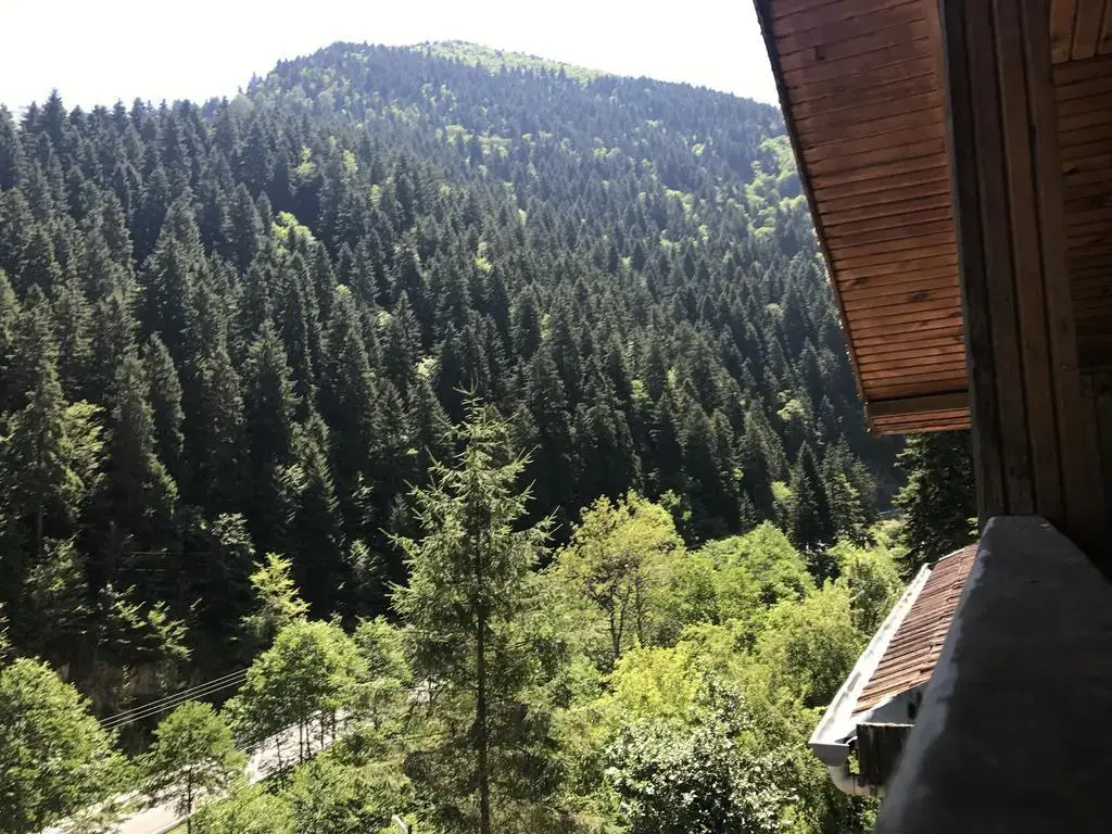Отель Iskalita