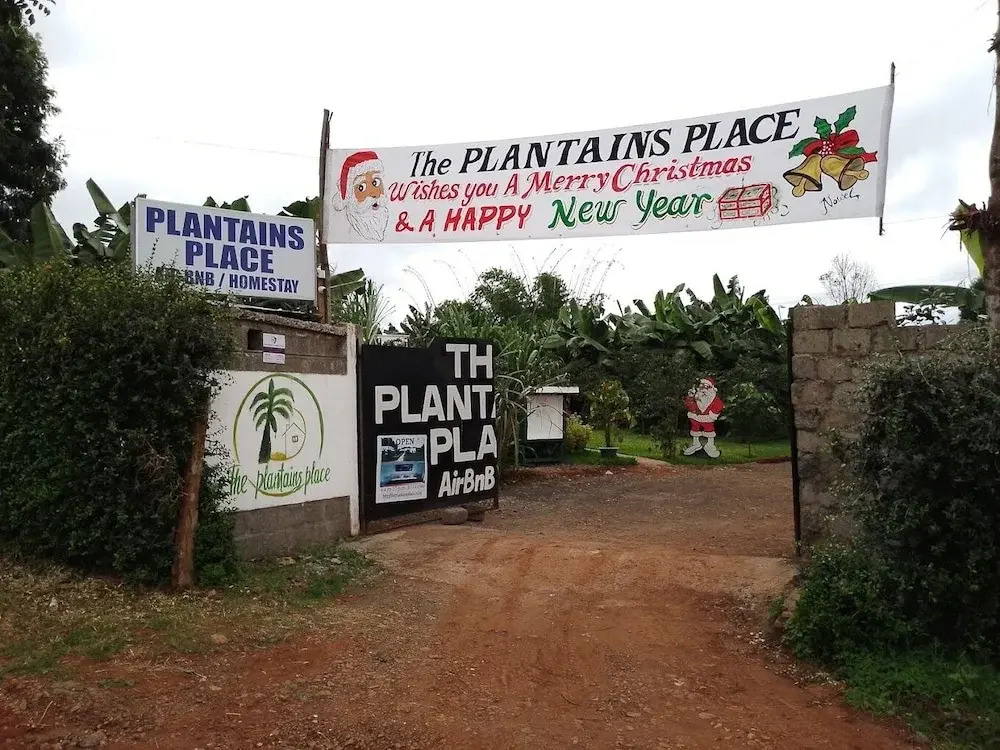 THE PLANTAINS PLACE