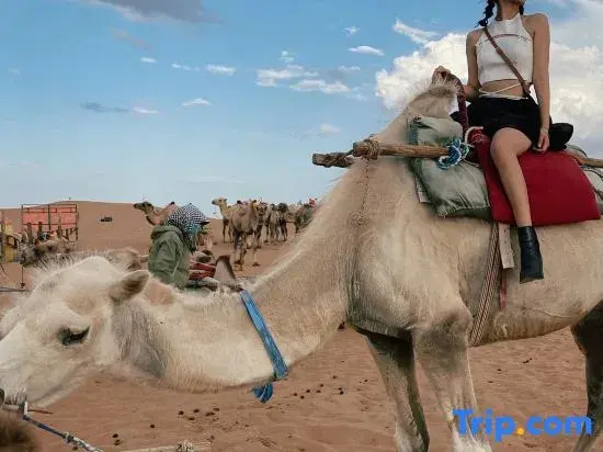 The desert camping hotel of the proprietress of Shapotou, Zhongwei
