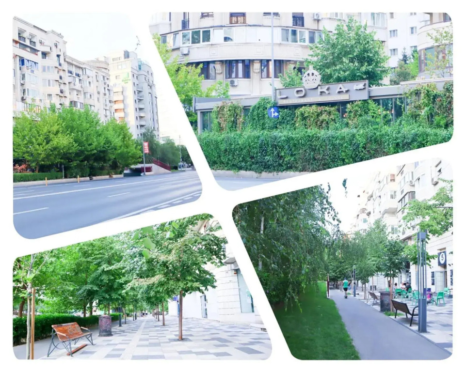 Central apartament Bulevardul Decebal