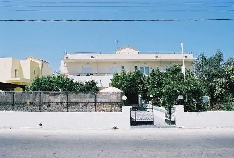 Lemon Trees