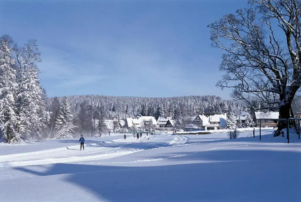 Drei Tannen - Wohnung 09 - Apartmenthaus, Titisee, Feldberg