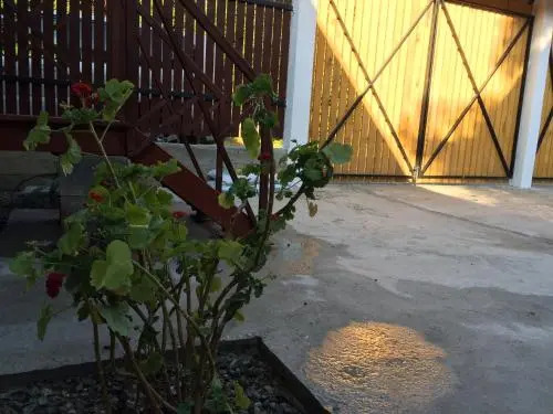 Mariya Guest House