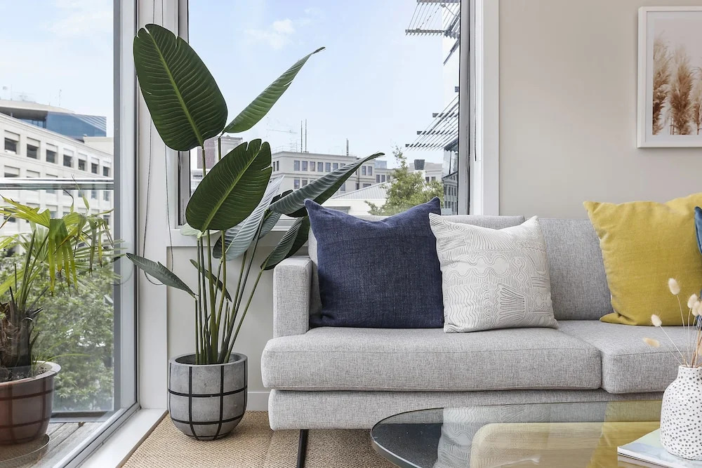 Wondrously Spacious 2 bdrm in Fantastic Location by Urban Butler