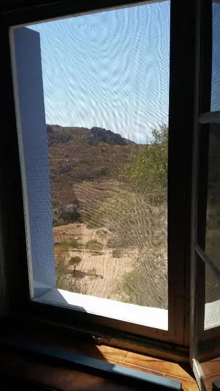 The large bougainvillea house