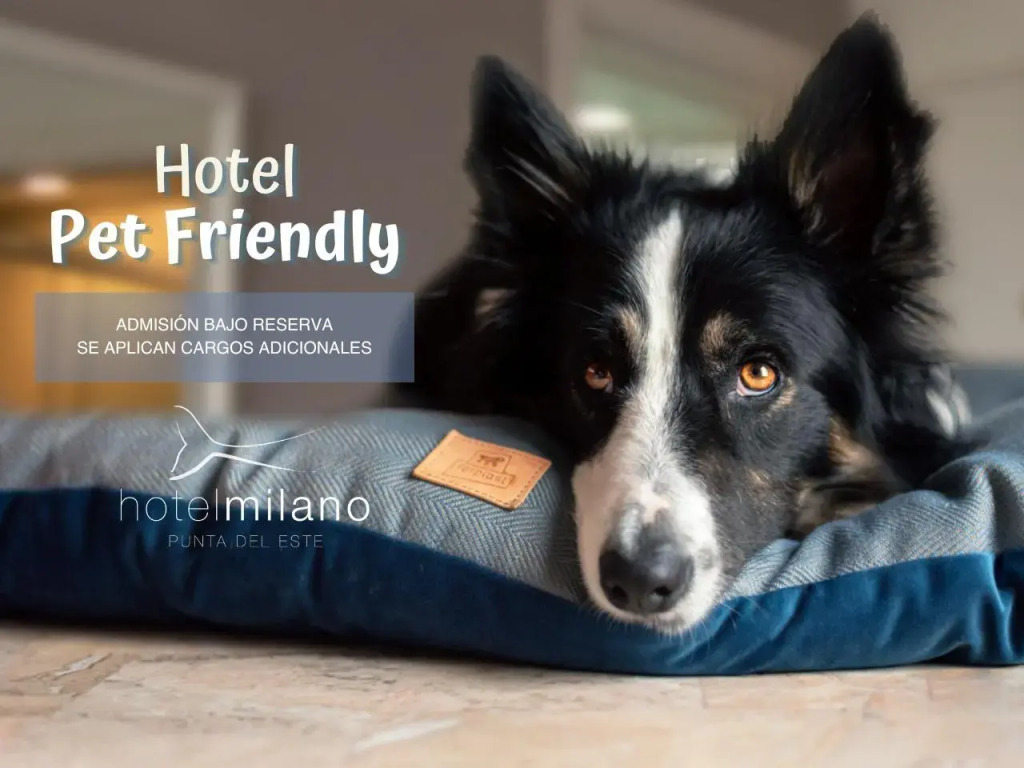 Hotel Milano
