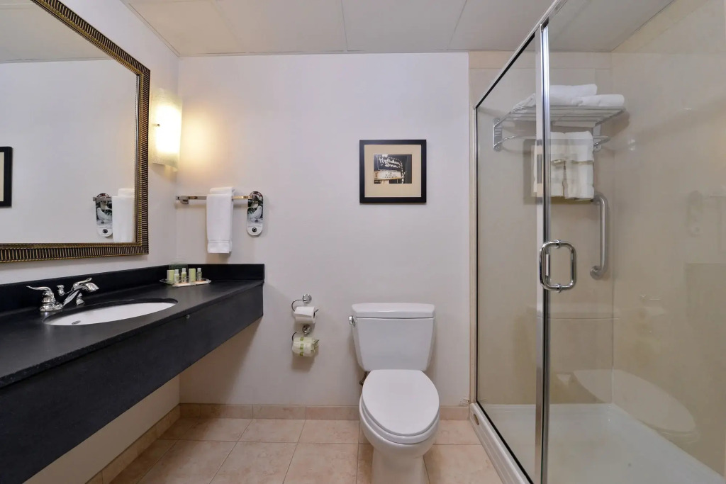 Holiday Inn Madison at The American Center by IHG