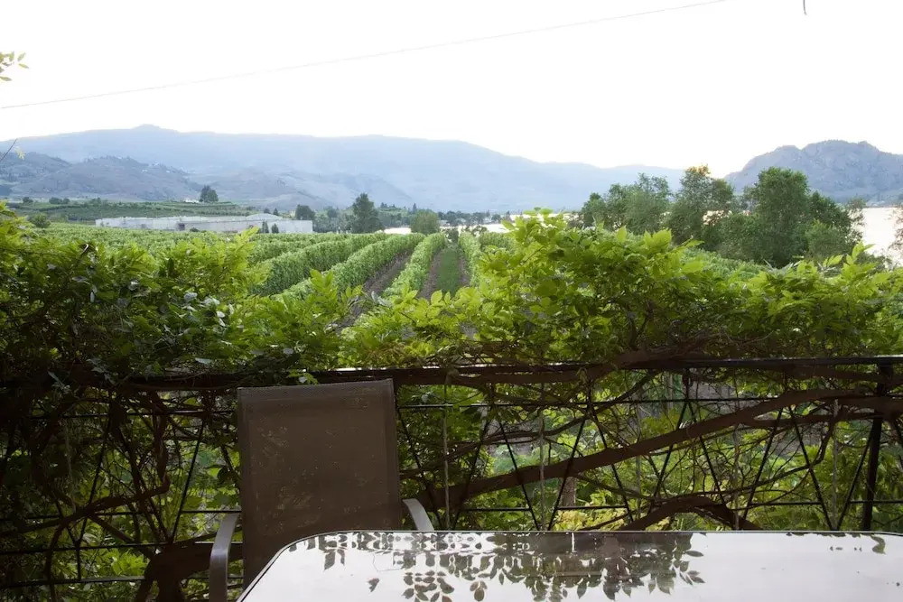 Vineyard on the Lake - 4 Bedroom Villa