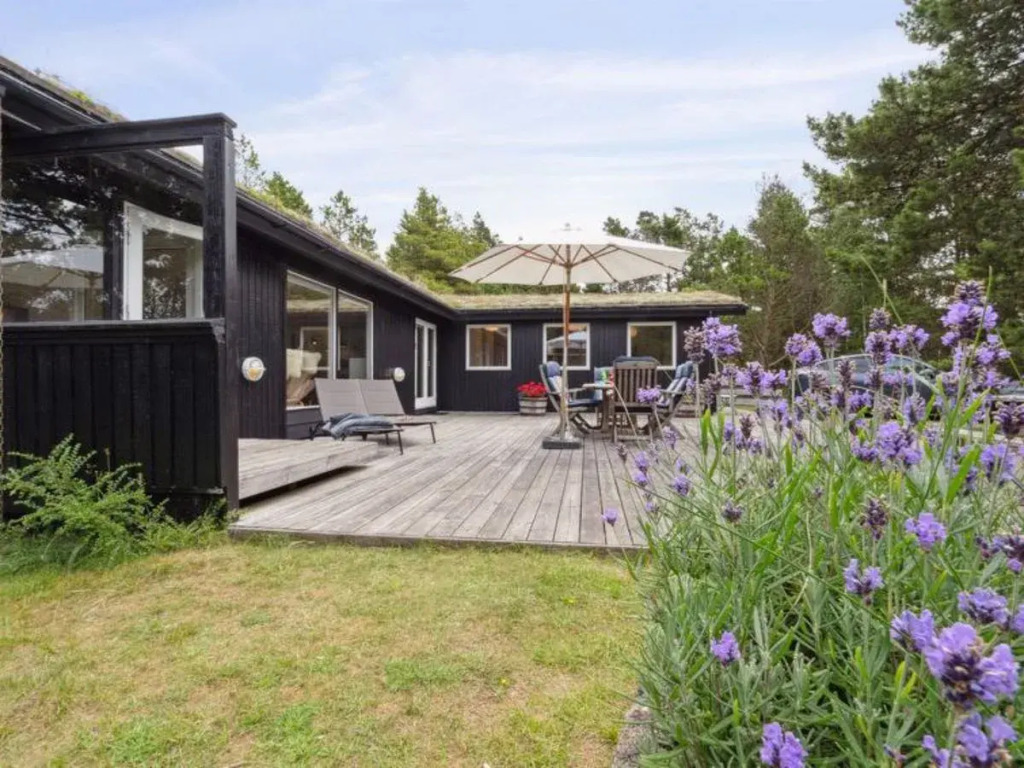 "Alwina" - 3km from the sea in Western Jutland