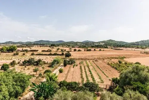 Finca Rural Son Amer