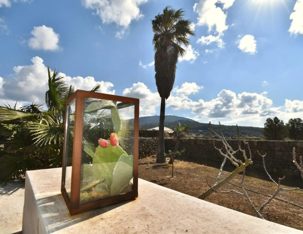 Abraxas Vigne di Pantelleria - Tenuta Bukkuram