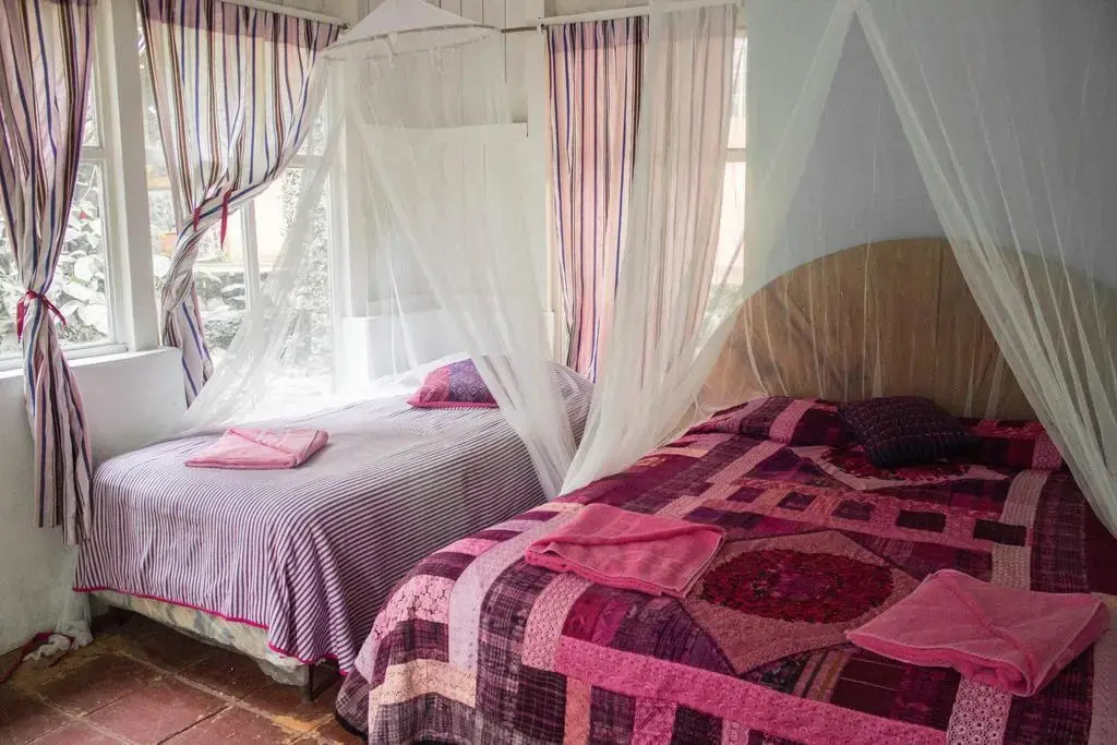 Hotel La Casa Rosa