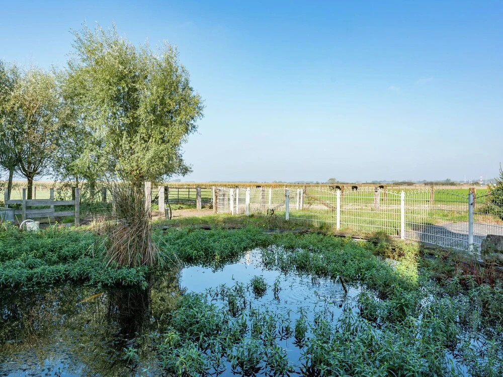 Rural Villa, 4 Kilometres From the Beach